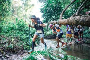 BIB: 
                            <button type="button" onclick="openModal(25444533)" class="btn btn-primary btn-sm float-right btn-popup" data-toggle="modal" data-target=".modal-high-quality">
                        <i class="fas fa-shopping-cart"></i> Add to Cart
                    </button>
                                            <button type="button" onclick="isThisMe(25444533, true)" class="btn btn-success btn-sm float-right btn-popup btn-isme hidden" data-toggle="tooltip" data-placement="bottom" title="นี่คือรูปของคุณใช่ไหม คลิกที่นี่เพื่อเอาเข้าอัลบั้ม">
                        <i class="fas fa-plus"></i> Add to album
                    </button>
                    <button type="button" onclick="isThisMe(25444533, false)" class="btn btn-warning btn-sm float-right btn-popup btn-isnotme hidden">
                        <i class="fas fa-ban"></i> Remove from album
                    </button>